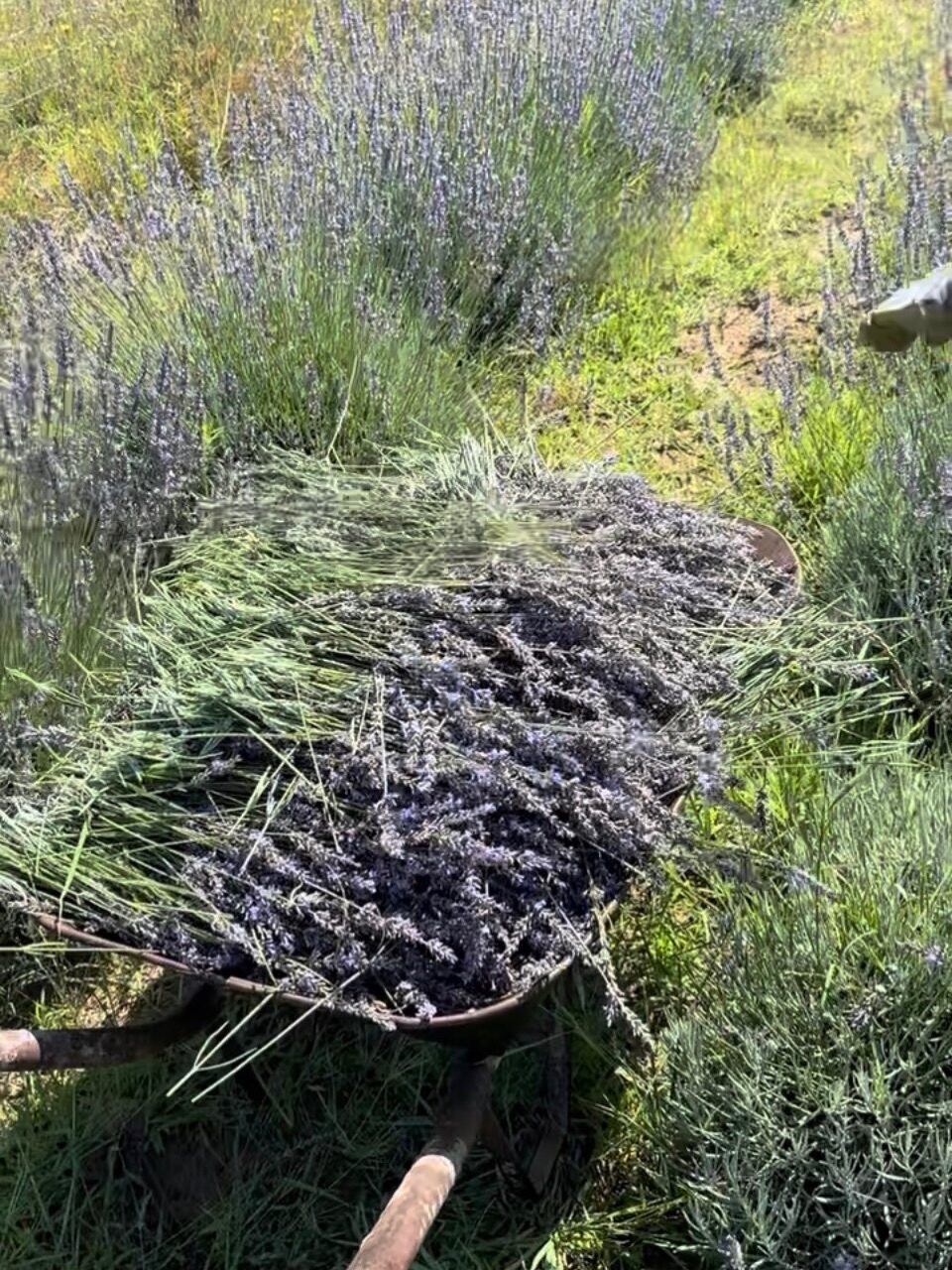 Instagram post from zsuatelier. This post is in position 2.