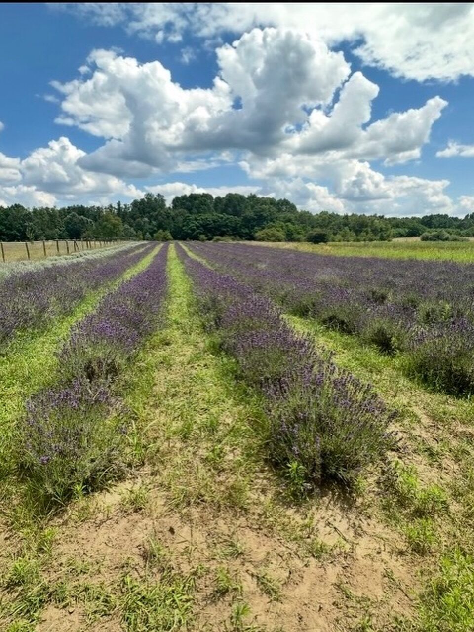 Instagram post from zsuatelier. This post is in position 1.