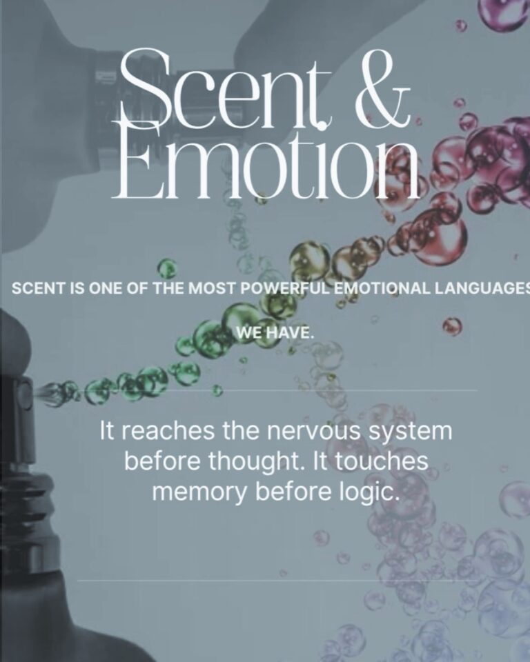 Instagram post from zsuatelier. This post is in position 1.