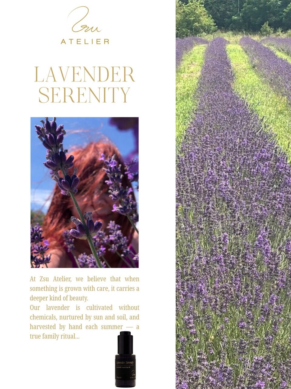 Instagram post from zsuatelier. This post is in position 0.